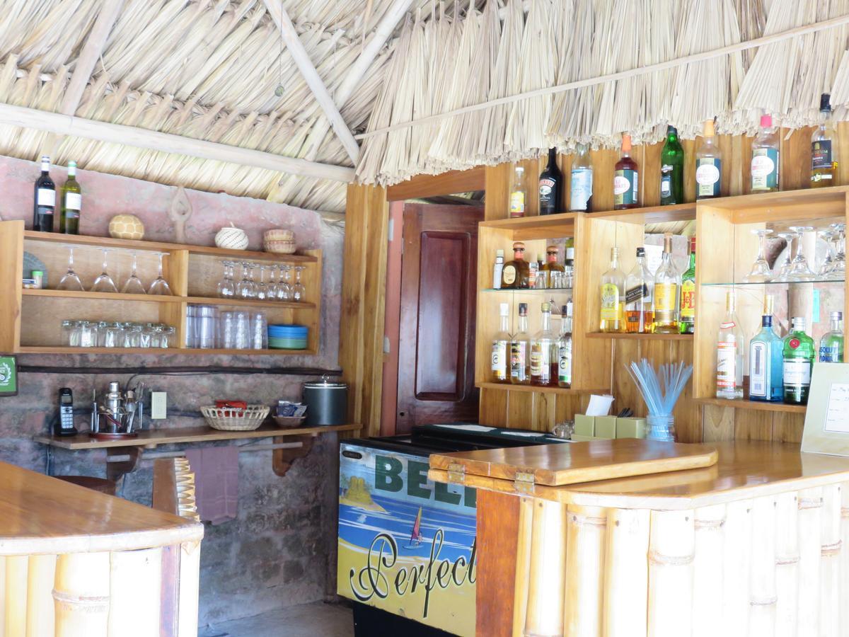 Bed and Breakfast Coral House Пунта-Горда Екстер'єр фото